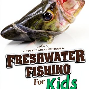 Capstone Press Into the Great Outdoors Kids Camping eBook 35‑Page-0